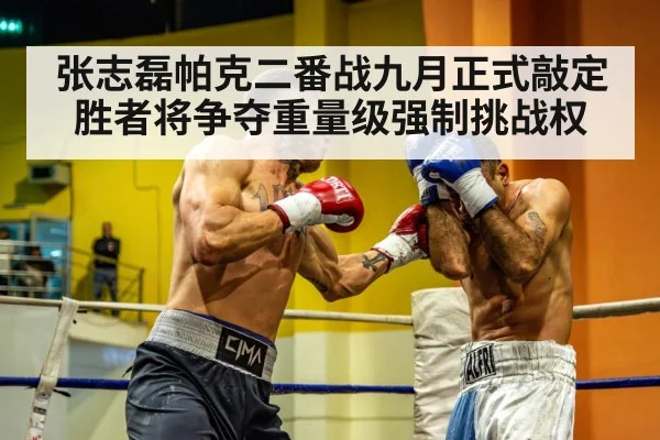 张志磊帕克二番战九月正式敲定 胜者将争夺重量级强制挑战权